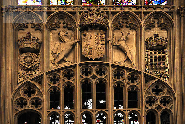 Wappen des Hauses Tudor in der King's College Chapel  gegründet 1441 von König Heinrich VI.  King's Parade  Cambridge  Cambridgeshire  England  Großbritannien  Europa