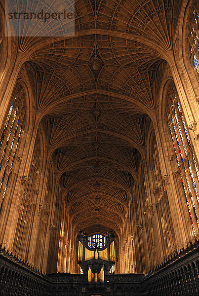 Gotisches Fächergewölbe mit Orgel und Chorgestühl der King's College Chapel  gegründet 1441 von König Heinrich VI.  King's Parade  Cambridge  Cambridgeshire  England  Großbritannien  Europa