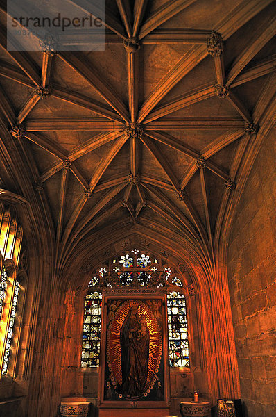 Gotisches Kreuzgewölbe und Marienbild in einer Seitenkapelle der King's College Chapel  gegründet 1441 von König Heinrich VI.  King's Parade  Cambridge  Cambridgeshire  England  Großbritannien  Europa