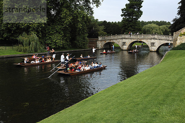 Bootsfahrt auf dem River Cam  sogenanntes Punting  im Park vom King's College  Cambridge  Cambridgeshire  England  Großbritannien  Europa