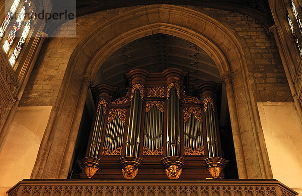 Orgel der Universitäts-Kirche Great St. Mary's Church  englische Gotik zwischen 1478 und 1519  1 King's Parade  Cambridge  Cambridgeshire  England  Großbritannien  Europa