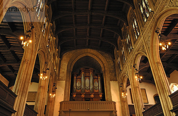 Innenraum der Universitäts-Kirche Great St. Mary's Church  englische Gotik zwischen 1478 und 1519  mit Orgel  1 King's Parade  Cambridge  Cambridgeshire  England  Großbritannien  Europa