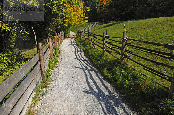 Wanderweg mit Holzzäunen abgegrenzt  Freilichtmuseum Glentleiten  Glentleiten 4  Großweil  Oberbayern  Deutschland  Europa