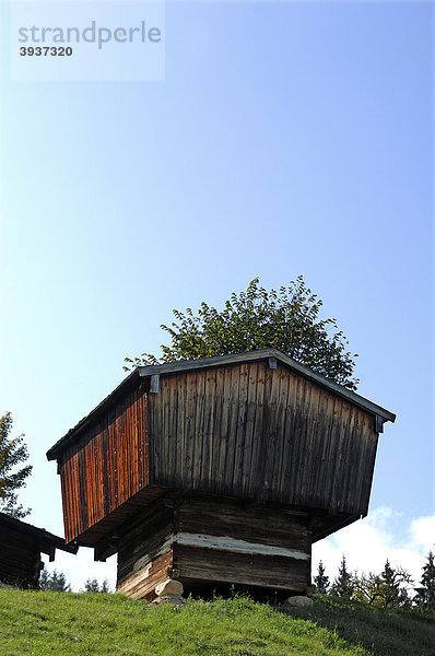 Kornkasten  1864  aus Ramsau  Berchtesgadener Land  Freilichtmuseum Glentleiten  Glentleiten 4  Großweil  Oberbayern  Deutschland  Europa