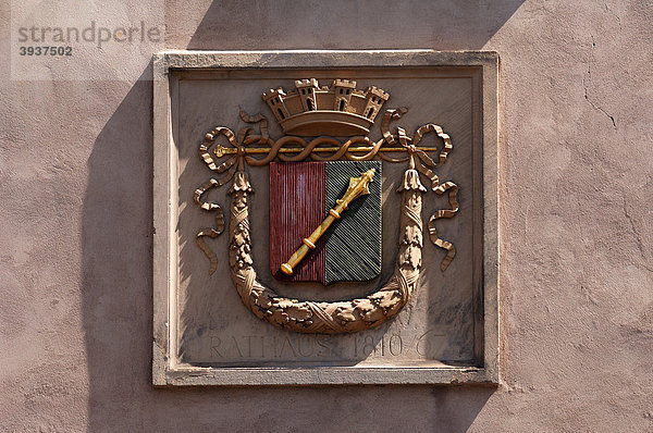 Wappen von Colmar von 1810  Rue de Turenne  Colmar  Elsass  Frankreich  Europa