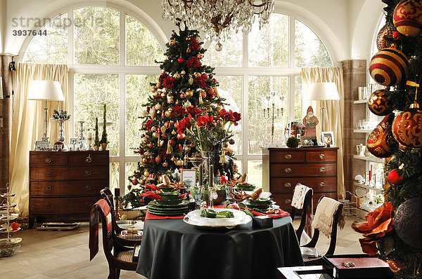 Geschmückter Weihnachtsbaum  vorne Tisch mit Weihnachtsdekoration in einem Wintergarten zum Verkauf dekoriert  Villa & Ambiente  Im Weller  Nürnberg  Mittelfranken  Bayern  Deutschland  Europa