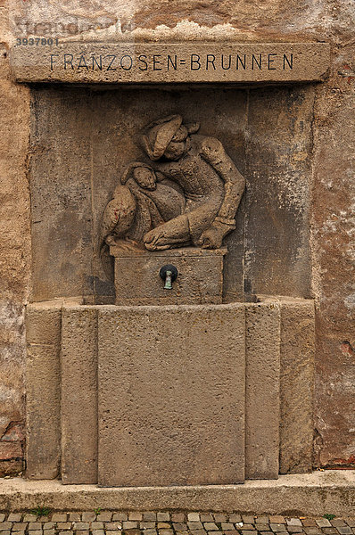 Relief des Franzosenbrunnens  im Siebenjährigen Krieg 1756-1763 ertrank in diesem Brunnen ein französischer Offizier  Domstr.  Merseburg  Sachsen-Anhalt  Deutschland  Europa