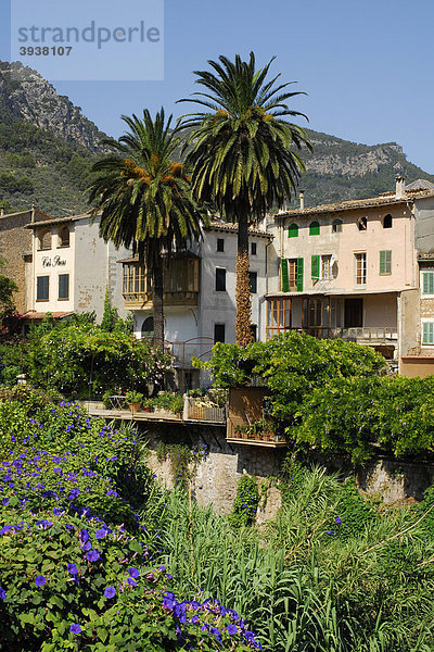 Häuser mit Garten  Soller  Mallorca  Balearen  Balearische Inseln  Spanien  Europa