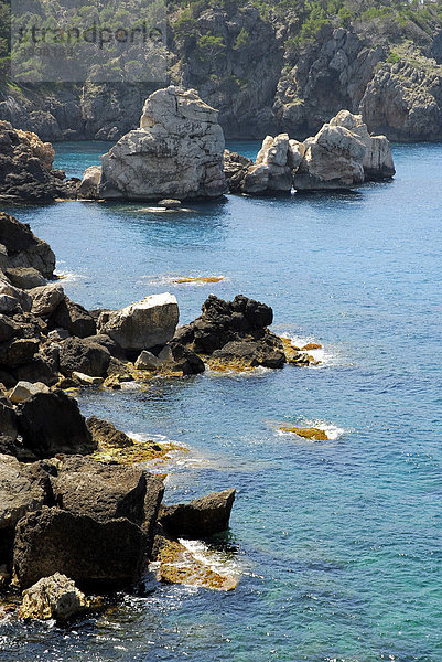 Kalkklippen  Felsenküste zwischen Llucalcari und Deia  Mallorca  Balearen  Balearische Inseln  Mittelmeer  Spanien  Europa