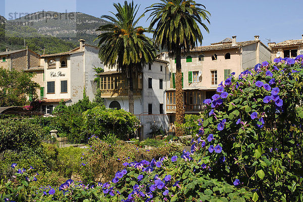 Häuser mit Garten  Soller  Mallorca  Balearen  Balearische Inseln  Spanien  Europa