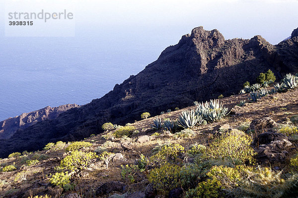 Natur und Landschaft am La Merica Berg  Risco de Heredia  Valle Gran Rey  La Gomera  Kanarische Inseln  Spanien  Europa