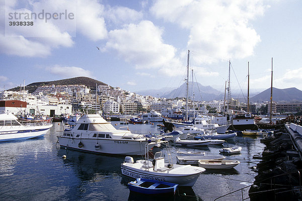 Boote im Hafen von Los Cristianos  Teneriffa  Kanarische Inseln  Spanien  Europa