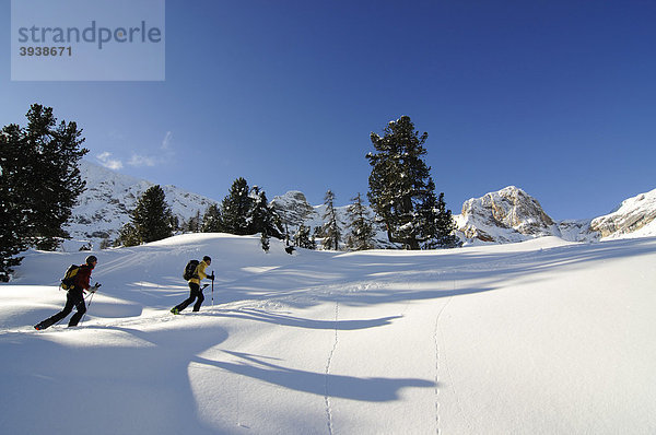 Skitour  Großer Jaufen  Pragser Tal  Hochpustertal  Südtirol  Italien  Europa