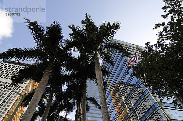 Bankgebäude  Brickell Key Drive  Miami Downtown  Florida  USA