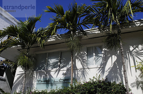 The Loft Hotel  Miami South Beach  Art Deco District  Florida  USA