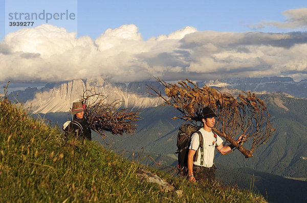 Junge Männer bringen Holz für Herz-Jesu-Feuer  Brixen  Südtirol  Italien  Europa
