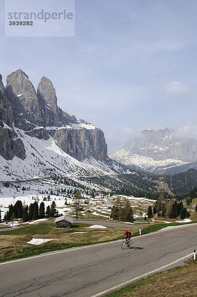 Rennradfahrer am Grödnerjoch  Südtirol  Italien  Europa