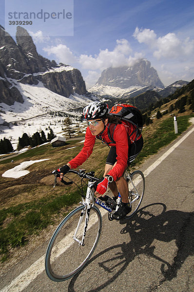 Rennradfahrer am Grödnerjoch  Südtirol  Italien  Europa