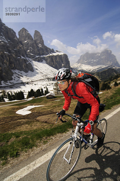 Rennradfahrer am Grödnerjoch  Südtirol  Italien  Europa