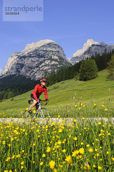 Rennradfahrer bei La Villa  Alta Badia  Südtirol  Italien  Europa