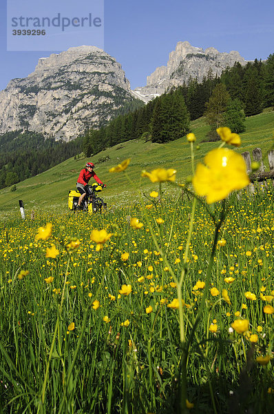 Radfahrer  Südtirol  Italien  Europa