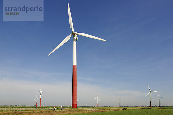 Windkraftanlagen  Sexbierum  Friesland  Holland  Niederlande  Europa