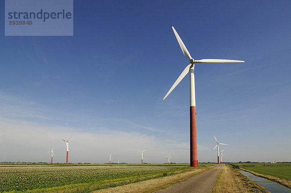 Windkraftanlagen  Sexbierum  Friesland  Holland  Niederlande  Europa