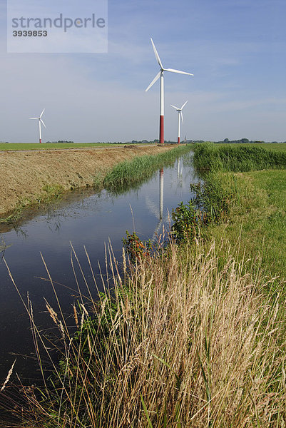 Windkraftanlagen  Sexbierum  Friesland  Holland  Niederlande  Europa