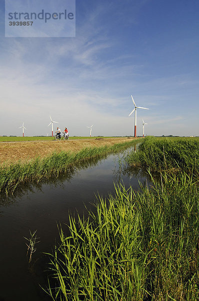 Radfahrer vor Windkraftanlagen  Sexbierum  Friesland  Holland  Niederlande  Europa