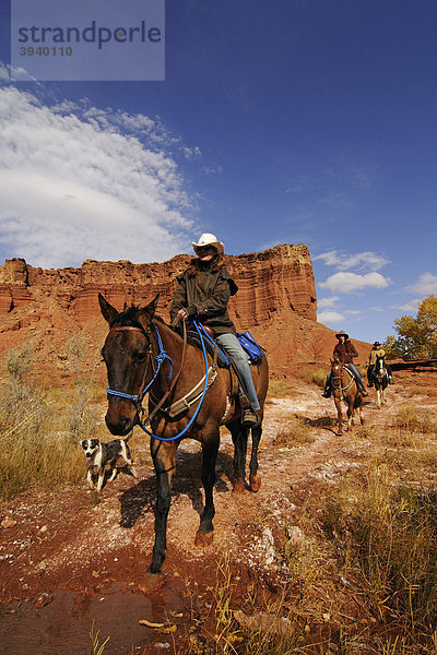 Cowgirl  Reiter bei Torrey  Capitol Reef Nationalpark  Utah  USA