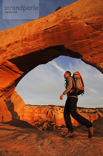 Wanderer  Wilson Arch  Moab  Utah  USA