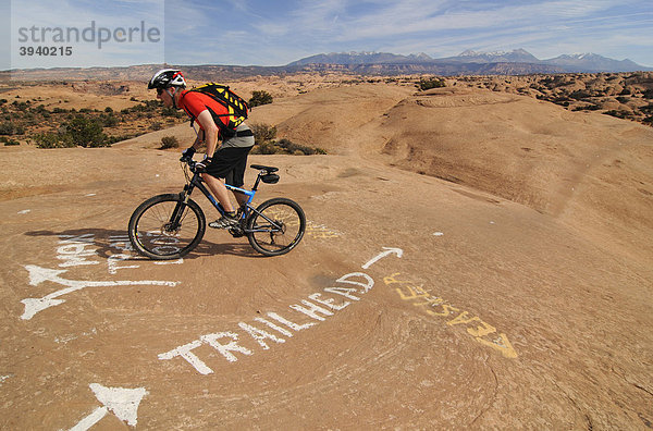 Mountainbiker am Slickrock Trail  Moab  Utah  USA