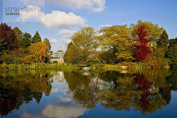 Der See im Botanischen Garten in Kopenhagen  Dänemark  Europa