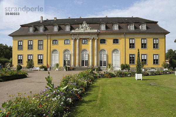 Schloss und Park Mosigkau  Dessau  Sachsen-Anhalt  Deutschland  Europa