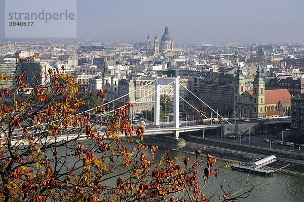 Elisabethbrücke  Budapest  Ungarn  Europa