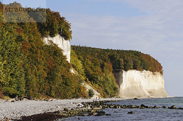 Strand und Kreidefelsen an der Ostsee im Nationalpark Jasmund  Halbinsel Jasmund  Insel Rügen  Mecklenburg-Vorpommern  Deutschland  Europa