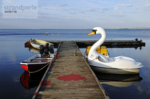 Tretboot in Form von einem Schwan im Abendlicht  Ralswiek am Großer Jasmunder Bodden  Insel Rügen  Mecklenburg-Vorpommern  Deutschland  Europa