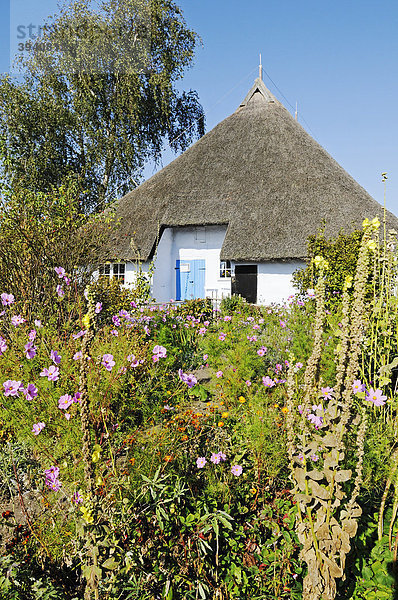 Reetgedecktes  historisches Pfarrwitwenhaus mit Museum und Garten  Dorf Groß Zicker im Mönchgut  Biosphärenreservat Südost-Rügen  Insel Rügen  Mecklenburg-Vorpommern  Deutschland  Europa