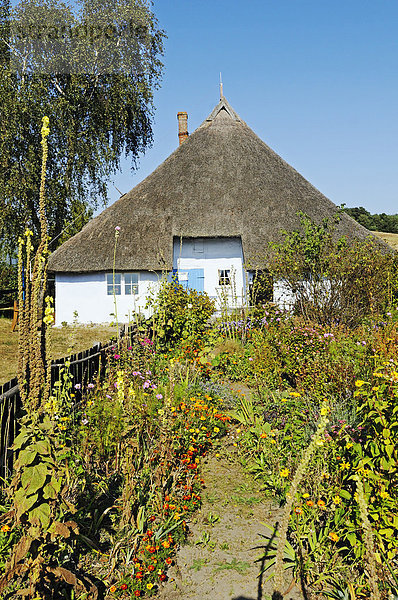 Reetgedecktes  historisches Pfarrwitwenhaus mit Museum und Garten  Dorf Groß Zicker im Mönchgut  Biosphärenreservat Südost-Rügen  Insel Rügen  Mecklenburg-Vorpommern  Deutschland  Europa