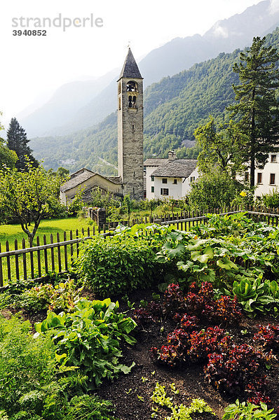 Bauerngarten und Kirche im Dorf Bondo am Wanderweg Via Bregaglia  Tal des Bergell  Val Bregaglia  Engadin  Graubünden  Schweiz  Europa