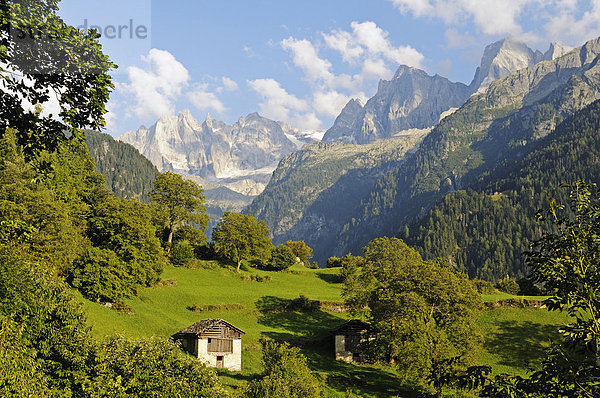 Blick vom Bergdorf Soglio auf die Bondasca-Gruppe mit Sciora  Piz Cengalo und Piz Badile  Tal des Bergell  Val Bregaglia  Engadin  Graubünden  Schweiz  Europa