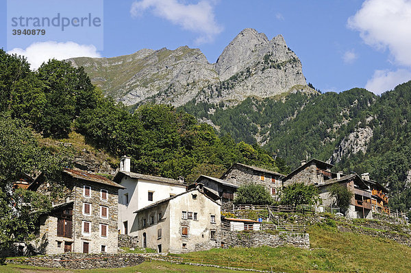 Dorf Dasile bei Savogno  Val Bregaglia  Tal des Bergell  und Chiavenna  Provinz Sondrio  Italien  Europa