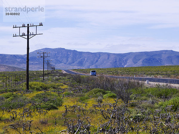 Fernstraße in Western Cape in Südafrika  Afrika