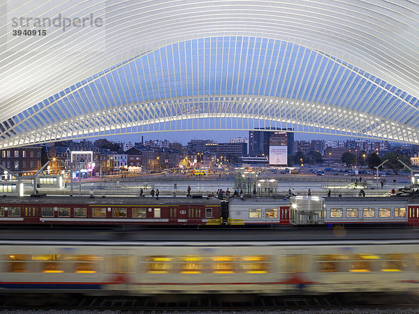 Bahnhofshalle  Gare de LiËge-Guillemins  Architekt Santiago Calatrava  Lüttich  Belgien  Europa
