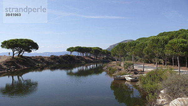 Pinienallee bei Orosei  Golf von Orosei  Ostküste Sardinien  Italien  Europa