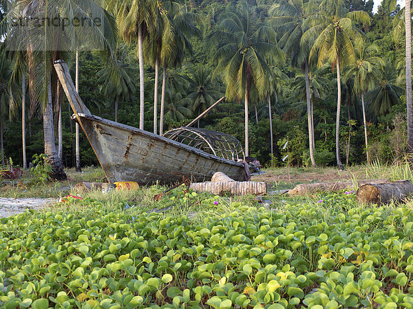 Bootswrack eines Longtailbootes vor einem Palmenhain am Strand der Insel Ko Hai  Ko Ngai  Andamanensee  Provinz Satun  Südthailand  Thailand  Asien