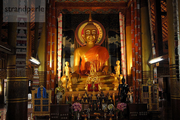 Buddha im Tempel der Dai Minderheit  Mengla  Xishuanbanna  Yunnan  China  Asien