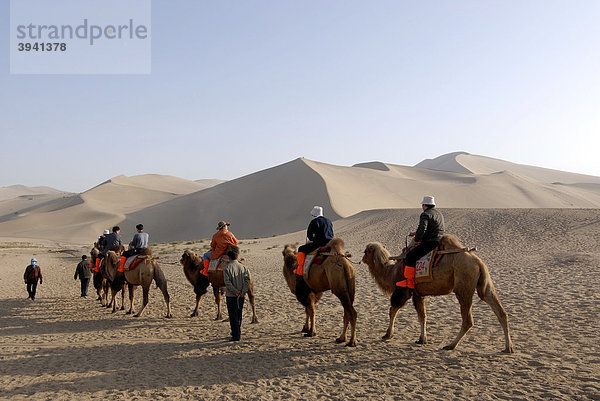 Kamelkarawane mit Touristen vor den Sanddünen der Wüste Gobi und des Mount Mingshan bei Dunhuang  Seidenstraße  Gansu  China  Asien