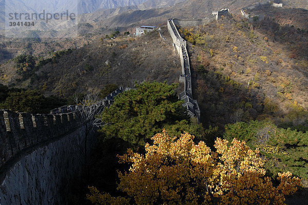 Große Chinesische Mauer bei Mutianyu im Herbst bei Peking  China  Asien