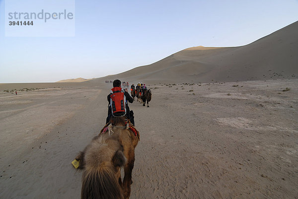 Kamelkarawane mit Touristen vor den Sanddünen der Wüste Gobi und des Mount Mingshan bei Dunhuang  Seidenstraße  Gansu  China  Asien